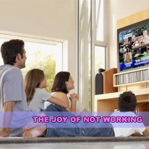 THE JOY OF NOT WORKING – 2007